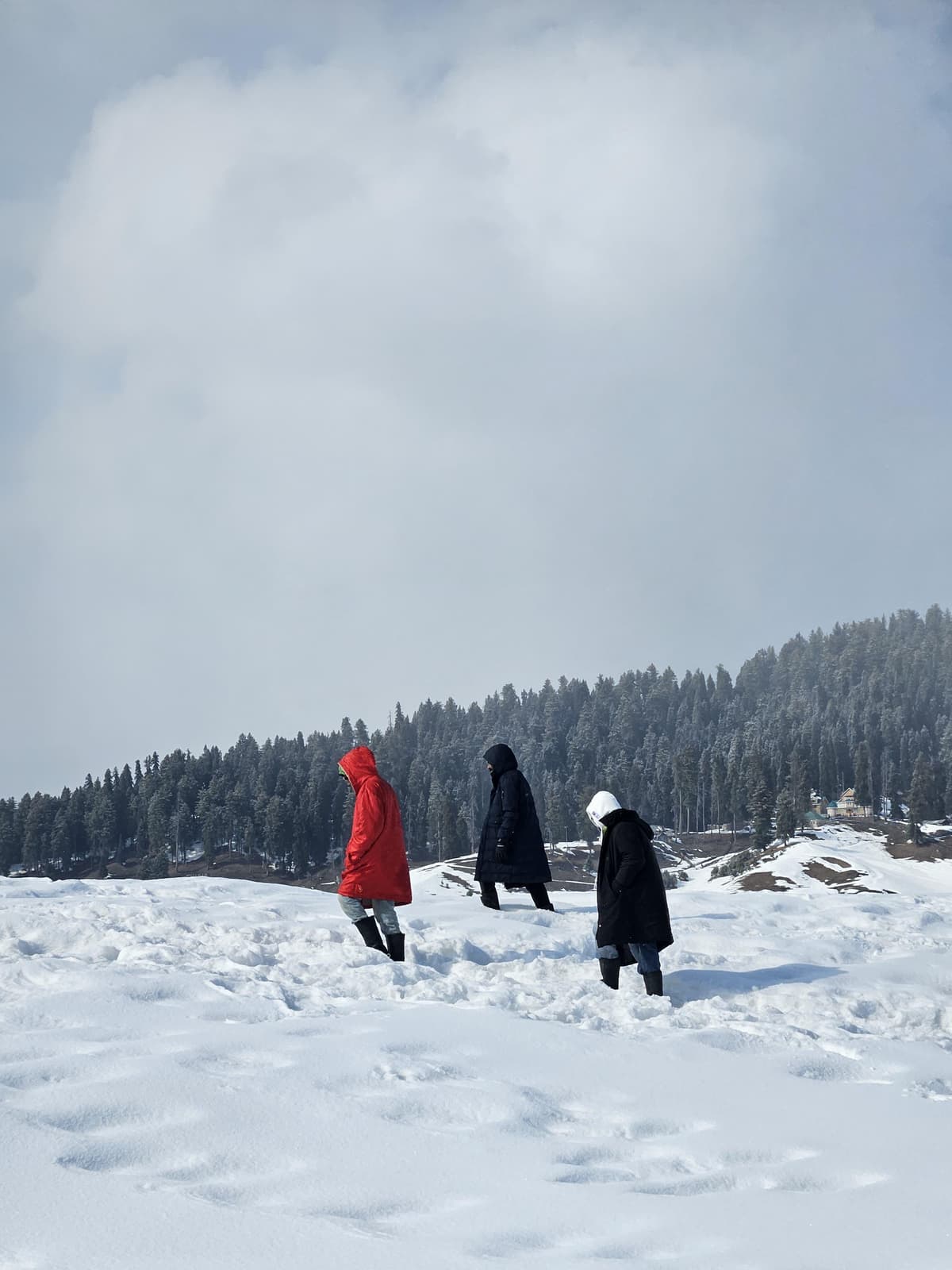 Luxury resort with mountain view